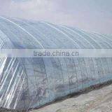 UV Protection Greenhouse Plastic Film, Anti- Aging LDPE Flim, Greenhouse Flim thumbnail-1