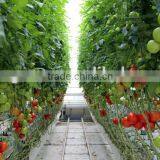 Polycarbonate Sheet Greenhouse thumbnail-2