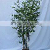 HX010501artificial Bamboo Tree for Decoration thumbnail-3