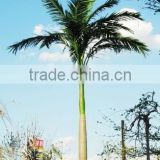 Home garden edging decorative 5ft to 16ft Height outdoor artificial green plastic palm trees EDS06 0844