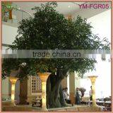 OEM GRC Trunk Banyan Tree Manufacturer thumbnail-3