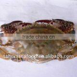 Frozen Swimming Crab ( Male ) thumbnail-1