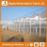 Heracles Trade Assurance Multispan Tunnel Greenhouse thumbnail-3