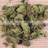 Nettle Leaf Cleanse Tea for Weight Loss Reduce Bloating Appetite Suppressant thumbnail-3