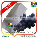 Grape Bag Fruit Growing Packing Bags Protective Bag thumbnail-1