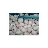 New Crop Frozen Iqf Lychee Whole thumbnail-1