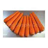 Fresh Crisp Organic Carrot Contains Beta-Carotenes , Vitamin A , No Side Roots, Quality Tender, Tast thumbnail-1