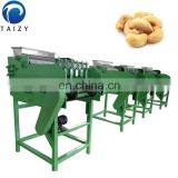 Automatic Cashew Shelling Machine Cashew Husk Machine/peanut/almond Shelling Machine thumbnail-7