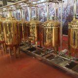 300L/ 2BBL Titanium Plating Stainless Steel Beer Fermentation Tank Beer Fermenter thumbnail-4