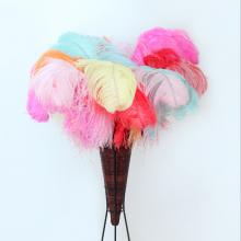 Natural 10-75cm Artificial Ostrich Feather for Party and Wedding Decoration thumbnail-2
