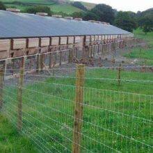 Field Fence thumbnail-5