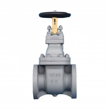 Hot Sale Cast Iron Marine Gate Valve JIS Flange Cast Steel 5K 5K125 Gate Valve for Sea Water Valve Price thumbnail-3