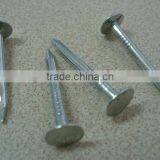 Big Head Clout Nail thumbnail-4