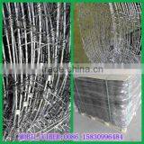 Weight of Barbed Wire per Meter Length thumbnail-6