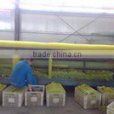 Zibo Hengjiu PU Technology Co., Ltd. company overview - view 4 thumbnail