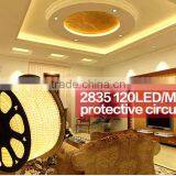 SV 220V IP65 2835Flexible Rope LED Strip WHITE Party Xmas Lamp BLUE 220V2835 120LEDS/M thumbnail-2
