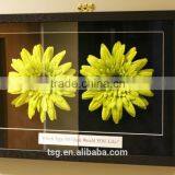 AR Anti-reflective Glass for Picture Frame