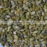 Hot Selling Shine Skin Pumpkin Seeds Where to Buy From Supplier thumbnail-3