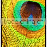 Qiku Mobile Phones Wifi 4G Wholesale Cell Phone for Sell thumbnail-2