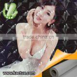 3D Laminating Film, Transparent 3D Laminating Film thumbnail-1
