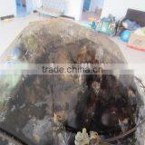 Rock Black Crystal Quartz Stone thumbnail-3