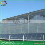 Polycarbonate Greenhouse Price, Polycarbonate Sheet for Polycarbonate Greenhouse thumbnail-4