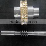 OEM Customized Gear Bronze Brass Worm Gear and Worm Shaft thumbnail-6