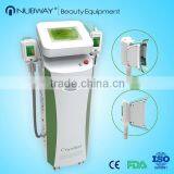 Body Shaping Latest Updated Criolipolisis Machine/ Cryolipolysis Machine Body Reshape Celluite Removal Fat Cell Freeze Slimming Cryolipolysis Machine thumbnail-3