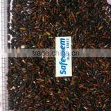Long Grain Black Rice thumbnail-3