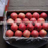 Yantai Apple thumbnail-5