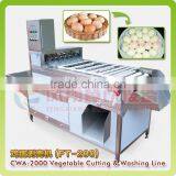 FT-200 Full Automatic Peeler Type Pre-boiled Hen Eggs Goose Eggs Sheller Shelling Machine With Stainless Steel