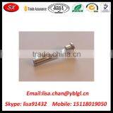 China Supplier Custom Steel CNC Turning Eccentric Screw thumbnail-1