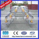 Hot Sales A Type Chicken Cage for Chicken Farm thumbnail-1