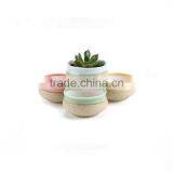 Ceramic Cactus Plant Pot Flower Pot thumbnail-1