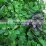 SJ04001012 Fake Greenery Wall Mat Wholesale Wall Design Mat thumbnail-2