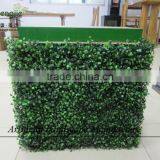 Indoor Artificial Plastic Boxwood Hedge for Decoration thumbnail-1