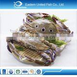 Wholesale Seafood Frozen Three Spot Crab thumbnail-2