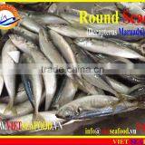 FROZEN W/R MARUADSI thumbnail-2