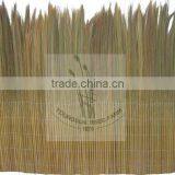 Fern Fence thumbnail-1