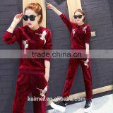 Wholesale Popular Customized High Quality Gym Velvet Suits thumbnail-2