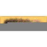 Wooden Guard Rail thumbnail-1