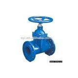 Gate Valves thumbnail-1