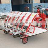 6 Rows Rice Transplanter/paddy rice planting machine manufacturer