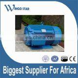 YLJ Series Torque Three Phase Electric Motor thumbnail-2