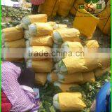 (HOT) China Fresh Cabbages/Exports Europe and the United States Fresh Cabbage