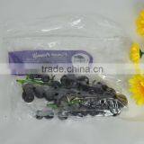 Grape Bags Keep Fruit Fresh for Long thumbnail-1