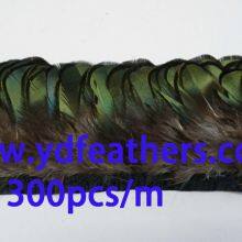 Lady Amhurst Pheasant Body Feather Trimming(250pcs/meter) From China thumbnail-1