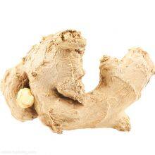 In 2021, With Fresh Ginger thumbnail-3