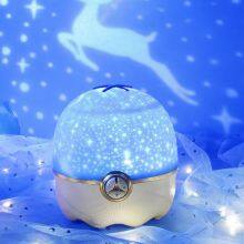Projection Lamp
