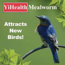 Microwave-dried Mealworms thumbnail-5